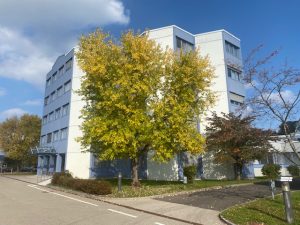 lenzing ag innenausbau trockenbau